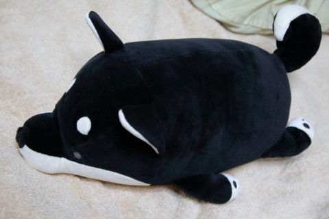 2017/9月 SIGMA17-70+7D2 焦点距離34mm F4 ss1/40 ISO800