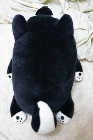 2017/9月 SIGMA17-70+7D2 焦点距離31mm F3.5 ss1/13 ISO800