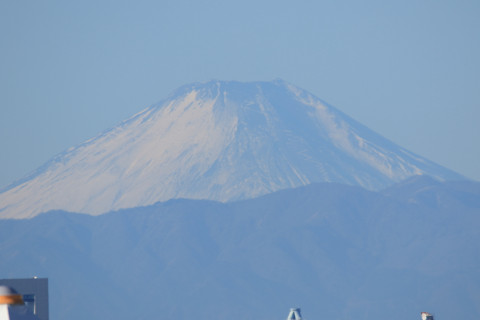 2017/12月 SIGMA150-600C+7D2 焦点距離600mm F8 ss1/400 ISO100