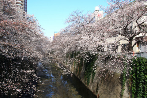 2018/3月 SIGMA17-70+7D2 焦点距離19mm F5.6 ss1/250 ISO100