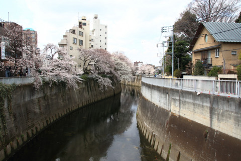 2018/3月 SIGMA17-70+7D2 焦点距離17mm F5.6 ss1/250 ISO100