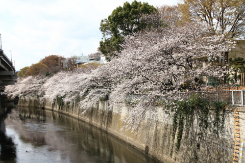 2018/3月 SIGMA17-70+7D2 焦点距離17mm F5.6 ss1/400 ISO100