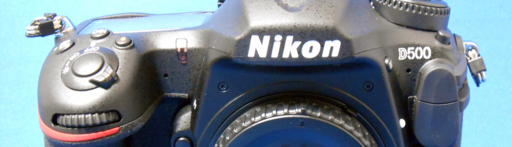 にわかカメラマンの撮ってみた!!（N'sHOME別館）