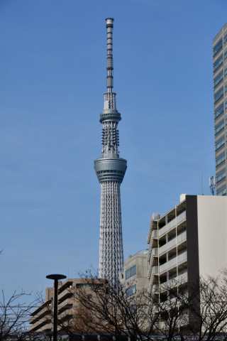 2019/2月 SIGMA17-70+D500 70mm F8 ss1/3200 ISO360