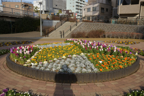 2019/2月 SIGMA17-70+D500 22mm F5.6 ss1/640 ISO125