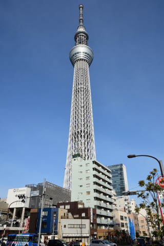 2019/2月 SIGMA17-70+D500 17mm F5.6 ss1/1000 ISO100