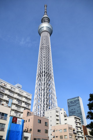 2019/2月 SIGMA17-70+D500 17mm F2.8 ss1/1250 ISO100