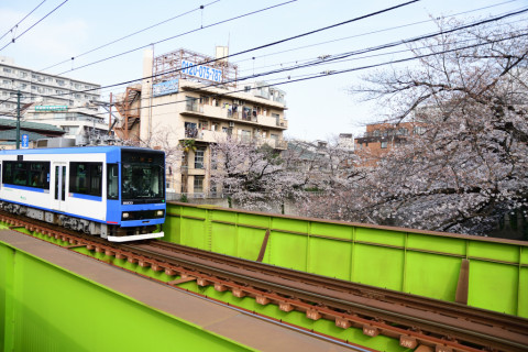 2019/3月 SIGMA17-70+D500 17mm F2.8 ss1/1250 ISO220