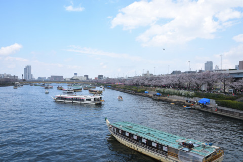 2019/3月 SIGMA17-70+D500 17mm F8 ss1/200 ISO100