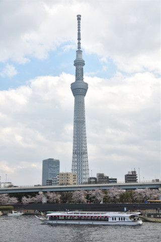 2019/3月 SIGMA17-70+D500 31mm F8 ss1/400 ISO100