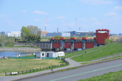 2019/4月 SIGMA17-70+D500 70mm F5.6 ss1/200 ISO100