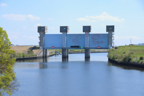 2019/4月 SIGMA17-70+D500 50mm F5.6 ss1/200 ISO100