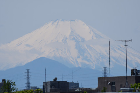 2019/4月 SIGMA150-600C+D500 600mm F8 ss1/640 ISO100