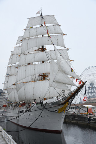 2019/6月 SIGMA17-70+D500 31mm F5.6 ss1/640 ISO110