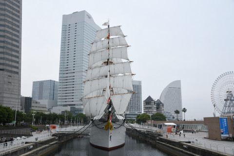 2019/6月 SIGMA17-70+D500 22mm F5.6 ss1/640 ISO110