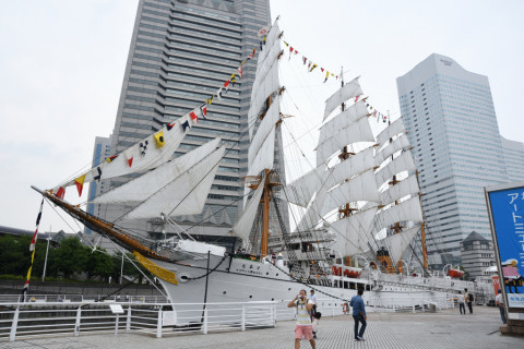 2019/6月 SIGMA17-70+D500 17mm F5.6 ss1/640 ISO160