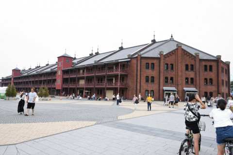 2019/6月 SIGMA17-70+D500 17mm F5.6 ss1/640 ISO1000