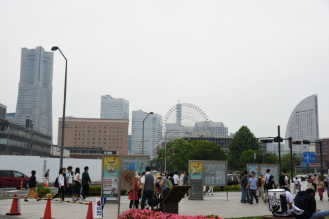 2019/6月 SIGMA17-70+D500 31mm F5.6 ss1/250 ISO100