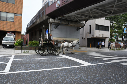 2019/6月 SIGMA17-70+D500 17mm F5.6 ss1/250 ISO180