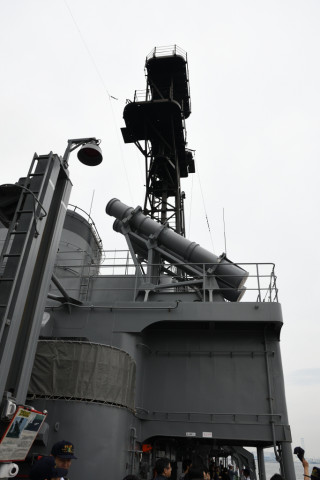 2019/6月 SIGMA17-70+D500 17mm F5.6 ss1/500 ISO280