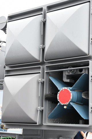 2019/6月 SIGMA17-70+D500 52mm F5.6 ss1/500 ISO1250