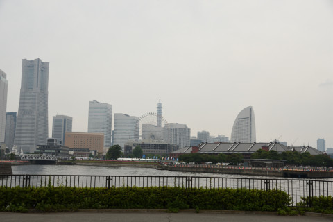 2019/6月 SIGMA17-70+D500 34mm F5.6 ss1/500 ISO100 