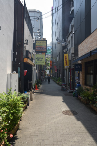 2019/6月 SIGMA17-70+D500 17mm F5.6 ss1/500 ISO500