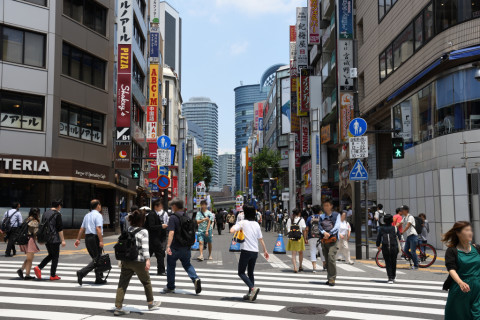 2019/6月 SIGMA17-70+D500 17mm F5.6 ss1/500 ISO100