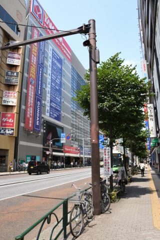 2019/6月 SIGMA17-70+D500 17mm F5.6 ss1/500 ISO200