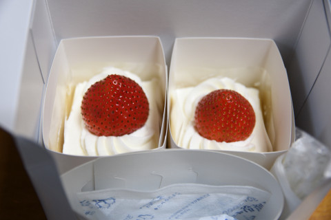 2019/6月 SIGMA17-70+D500 34mm F3.3 ss1/80 ISO220