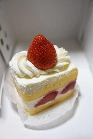 2019/6月 SIGMA17-70+D500 24mm F3 ss1/80 ISO560