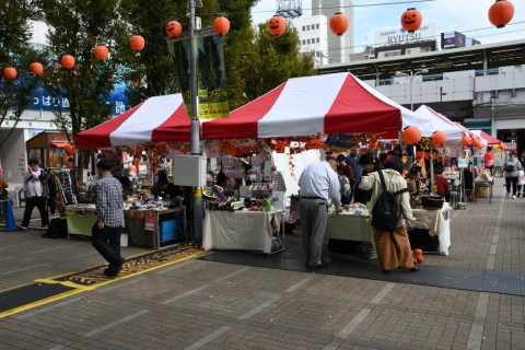 2019/10月 SIGMA17-70+D500 22mm F8 ss1/200 ISO125