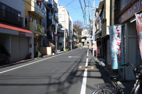 2020/1月 SIGMA17-70+D500 26mm F8 ss1/200 ISO110