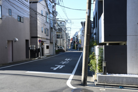 2020/1月 SIGMA17-70+D500 26mm F8 ss1/200 ISO110