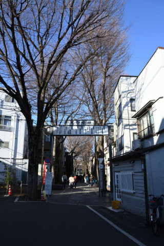 2020/1月 SIGMA17-70+D500 17mm F5.6 ss1/250 ISO100