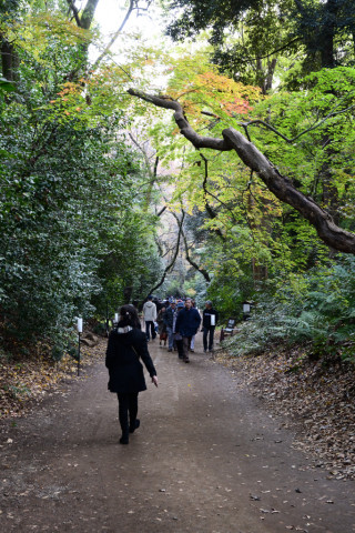 2019/12月 SIGMA17-70+D500 34mm F6.3 ss1/60 ISO1100