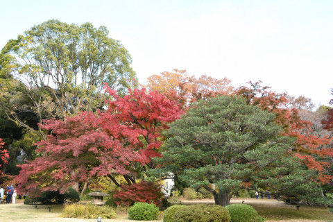 2019/12月 SIGMA17-70+D500 22mm F8 ss1/60 ISO320