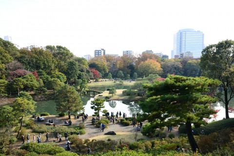 2019/12月 SIGMA17-70+D500 17mm F8 ss1/40 ISO100