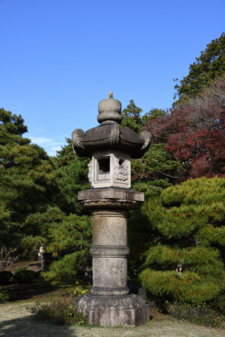 2019/12月 SIGMA17-70+D500 28mm F8 ss1/250 ISO100