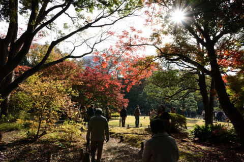 2019/12月 SIGMA17-70+D500 28mm F8 ss1/250 ISO100