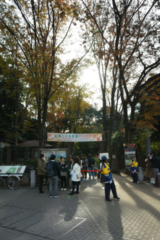 2019/12月 SIGMA17-70+D500 17mm F5.6 ss1/400 ISO450