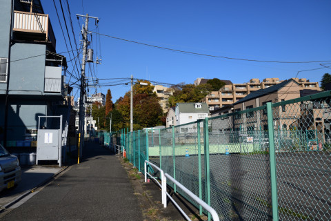 2019/12月 SIGMA17-70+D500 17mm F5.6 ss1/800 ISO110