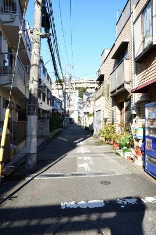 2019/12月 SIGMA17-70+D500 17mm F8 ss1/80 ISO100