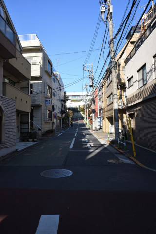 2019/12月 SIGMA17-70+D500 17mm F8 ss1/160 ISO100