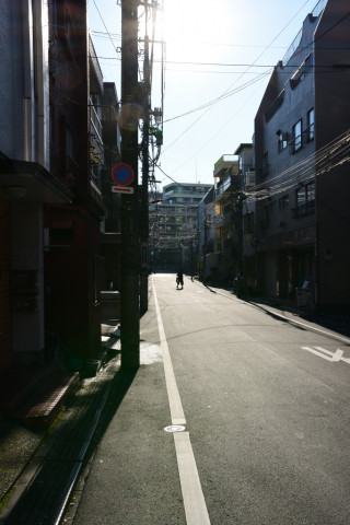 2019/12月 SIGMA17-70+D500 26mm F13 ss1/160 ISO100