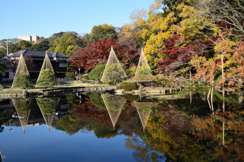 2019/12月 SIGMA17-70+D500 24mm F8 ss1/125 ISO100
