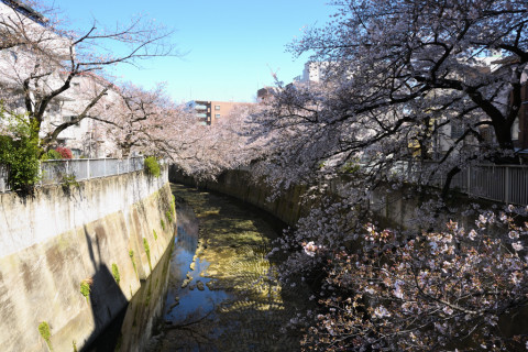 2020/3月 SIGMA17-70+D500 17mm F8 ss1/80 ISO125