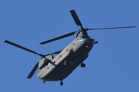 トリミング 2020/2月 SIGMA150-600C+D500 600mm F8 ss1/1250 ISO640 AF-C シングル