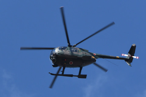 トリミング 2020/3月 SIGMA150-600C+D500 600mm F8 ss1/800 ISO500 AF-C シングル