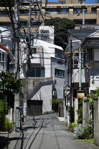 2020/8月 SIGMA17-70+D500 70mm F4 ss1/400 ISO100